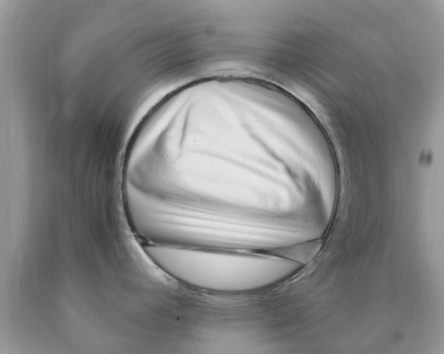 X0000089891392200707262221