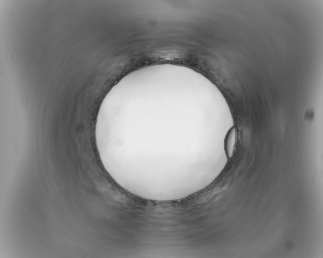 X0000089891393200707262220