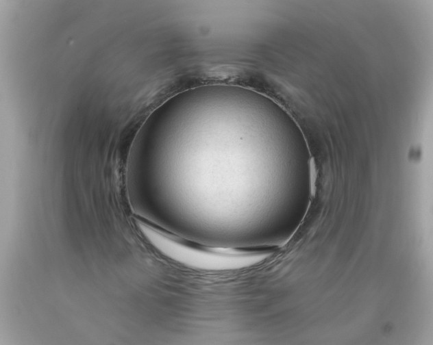 X0000089891394200707262220