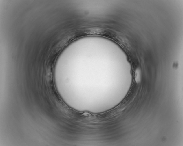 X0000089891395200707262220