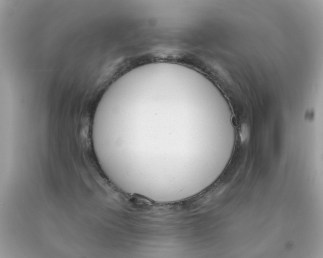 X0000089891396200707262220