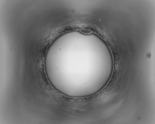 X0000089891397200707262220