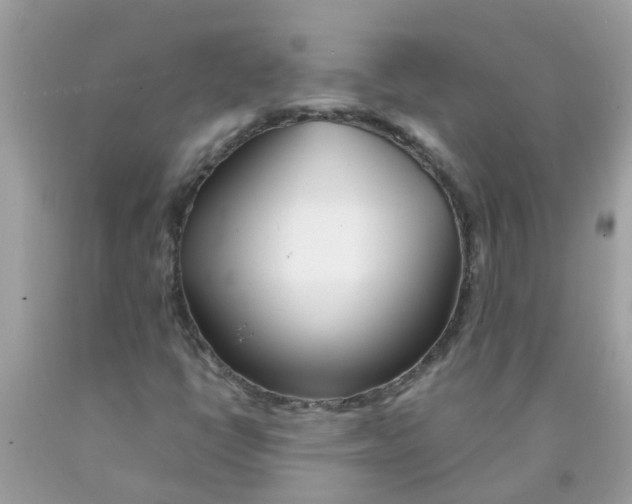 X0000089891398200707262220