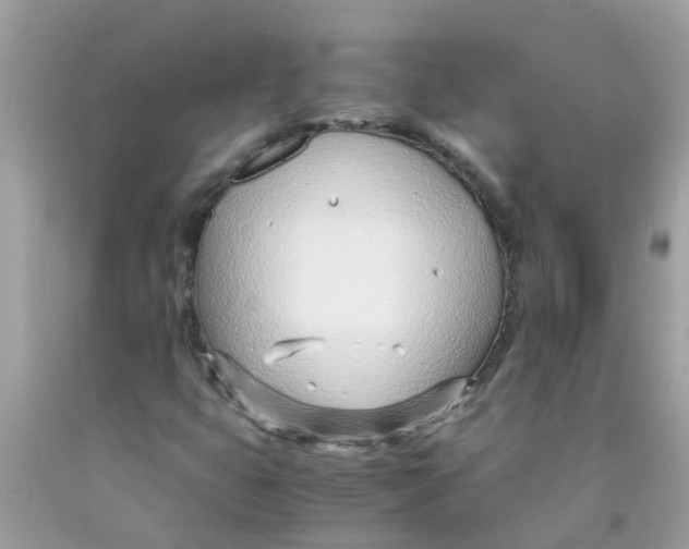 X0000089891399200707262220