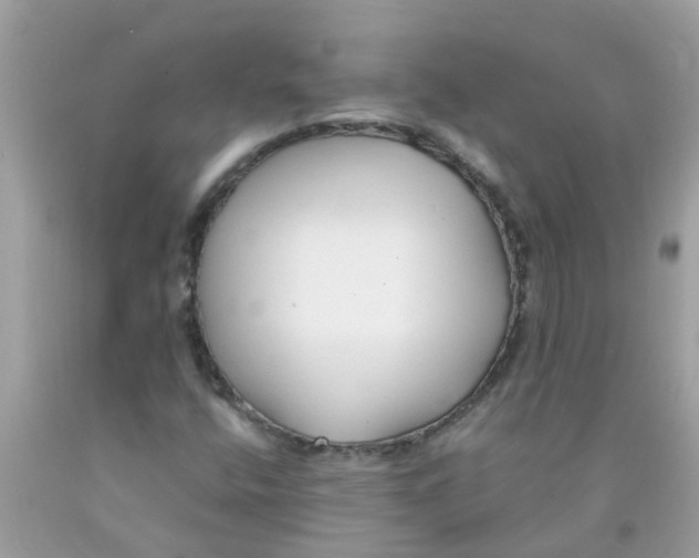 X0000089891400200707262220