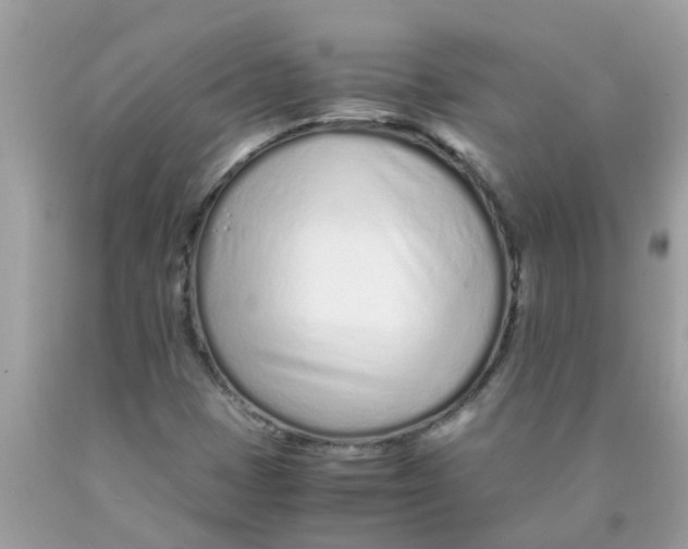 X0000089891401200707262220