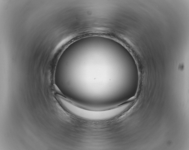 X0000089891402200707262220