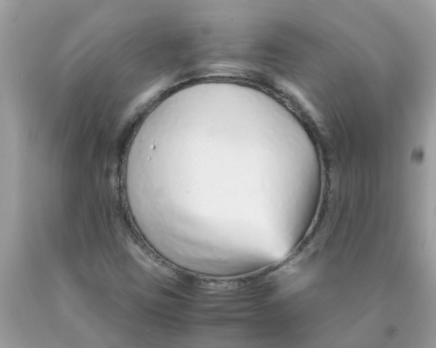 X0000089891403200707262220