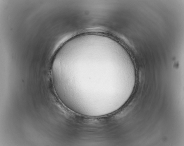 X0000089891405200707262220