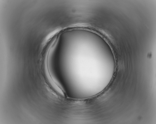 X0000089891406200707262220