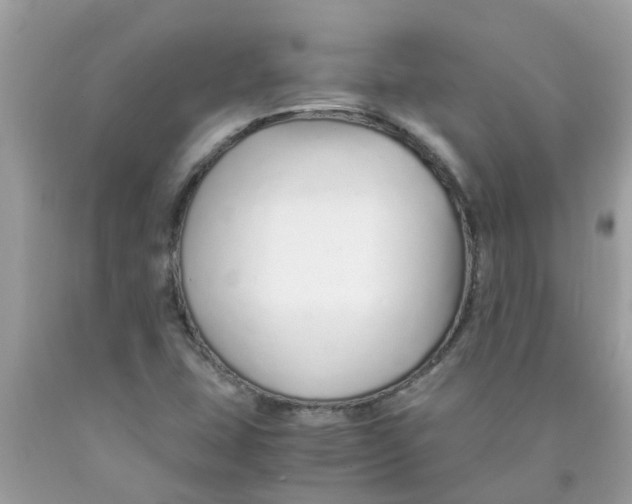 X0000089891407200707262220