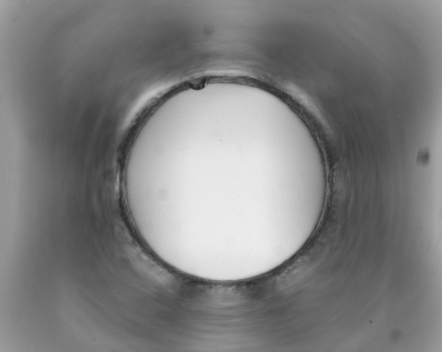 X0000089891408200707262220