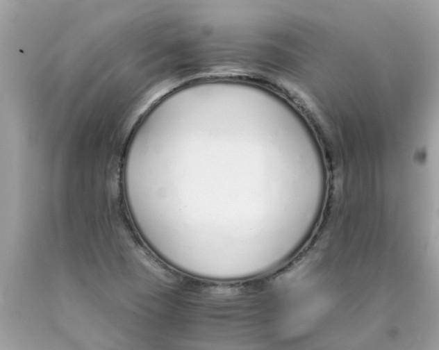 X0000089891409200707262220