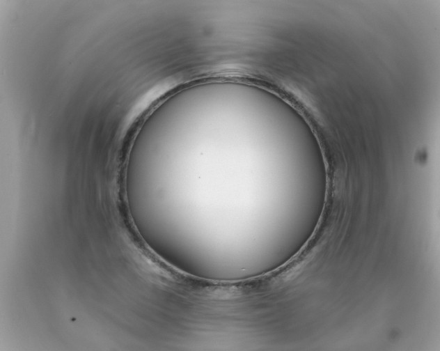 X0000089891410200707262220