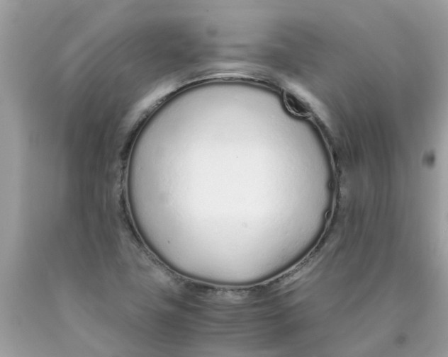 X0000089891411200707262220