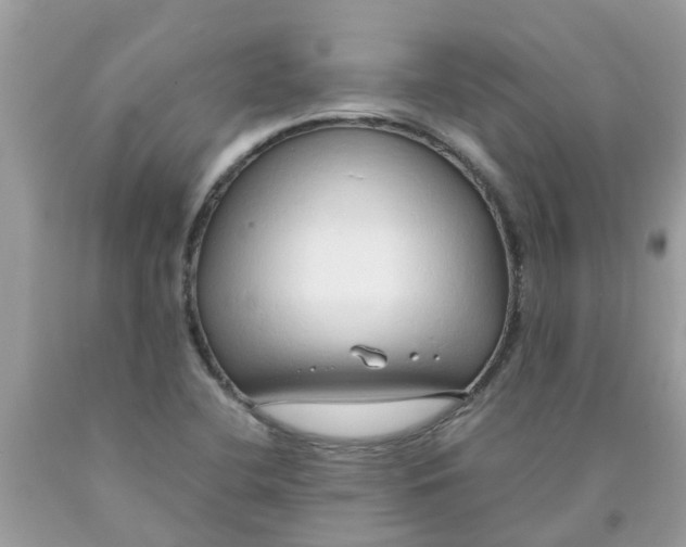 X0000089891412200707262220