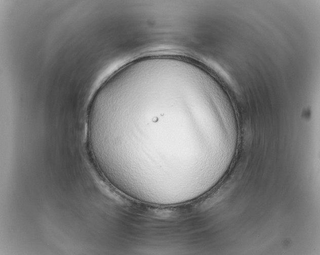 X0000089891413200707262220