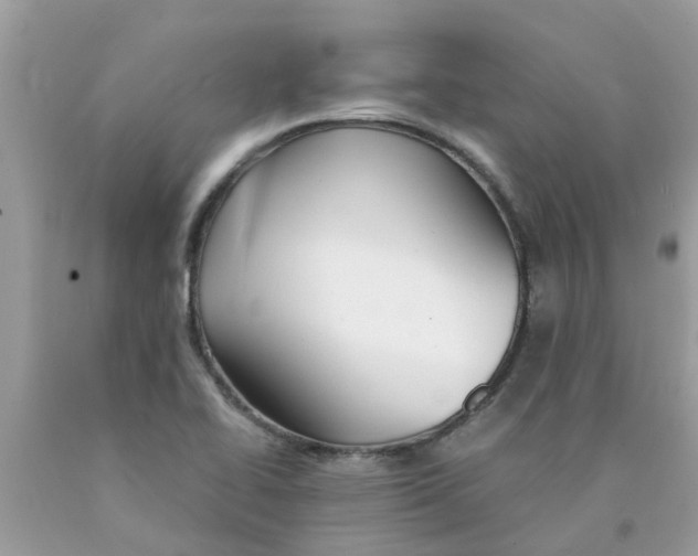 X0000089891414200707262220