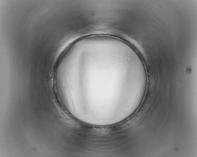 X0000089891415200707262220