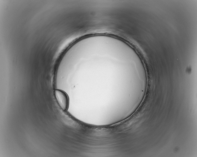 X0000089891416200707262220