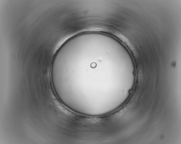 X0000089891417200707262220