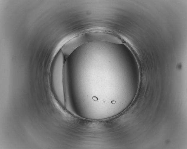 X0000089891418200707262220