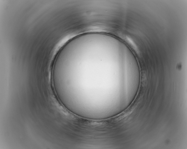 X0000089891419200707262220