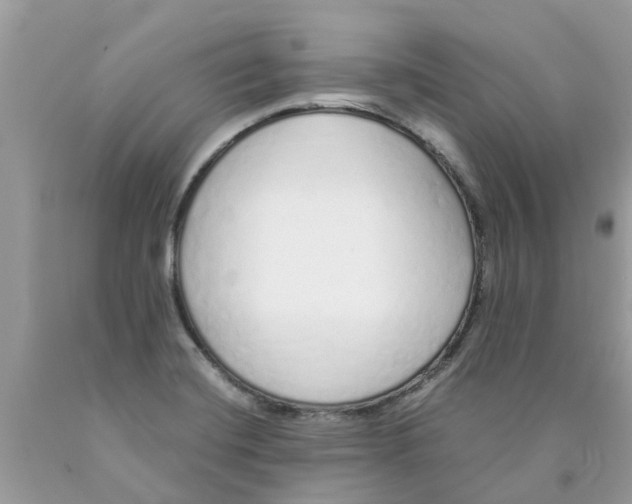 X0000089891420200707262220