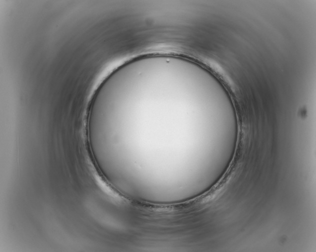 X0000089891421200707262220