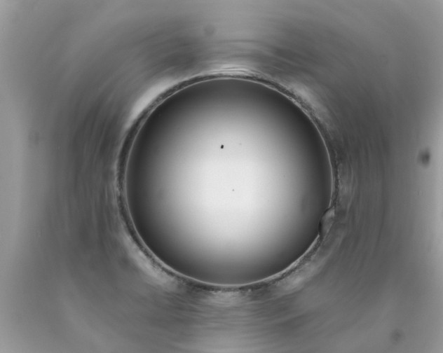 X0000089891422200707262220