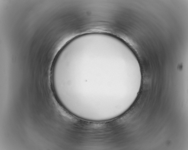 X0000089891423200707262220