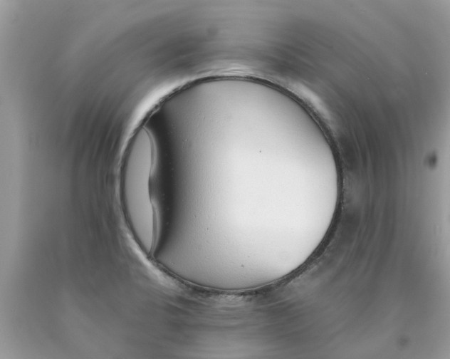 X0000089891424200707262221