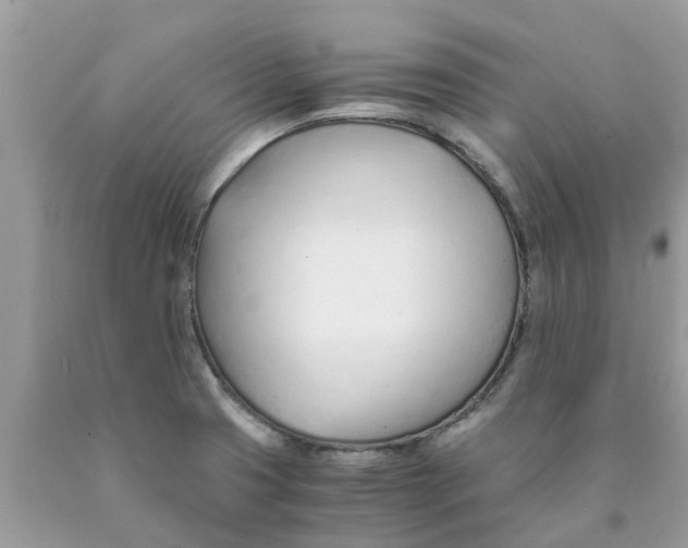 X0000089891425200707262221