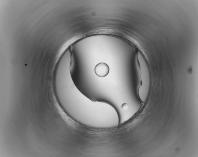 X0000089891426200707262221