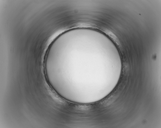 X0000089891427200707262221