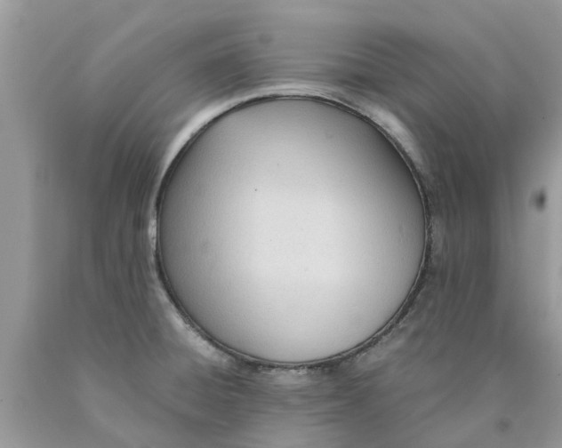 X0000089891428200707262221