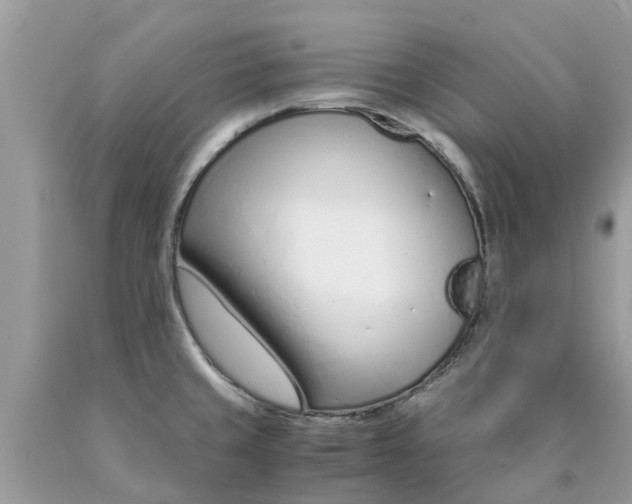 X0000089891429200707262221