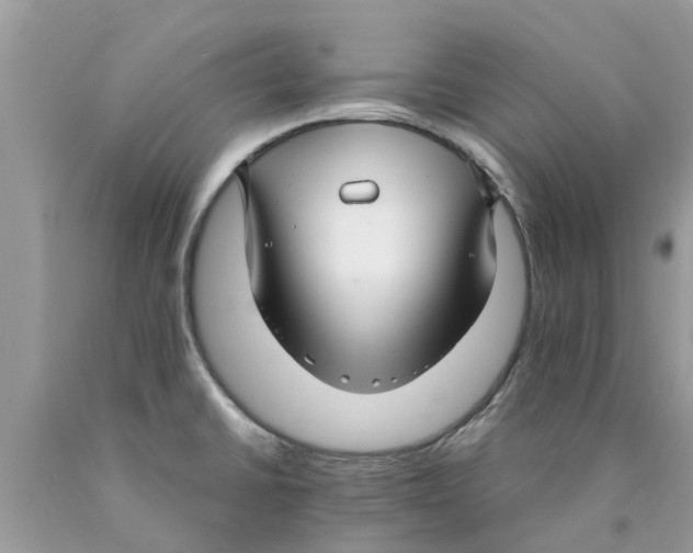 X0000089891430200707262221