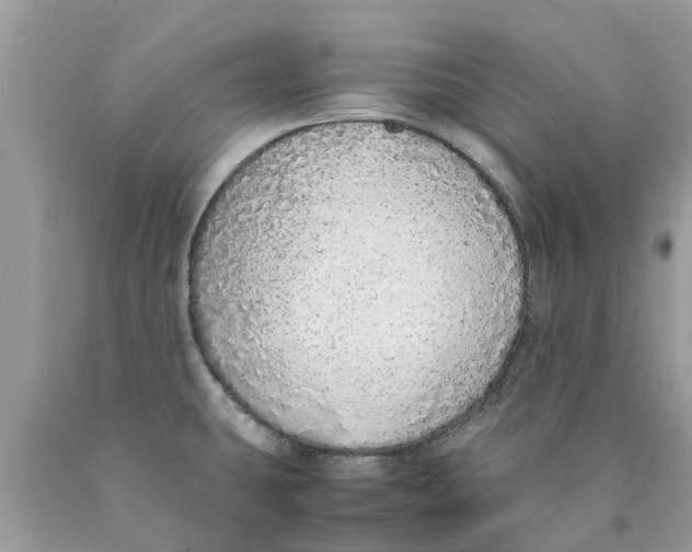 X0000089891431200707262221