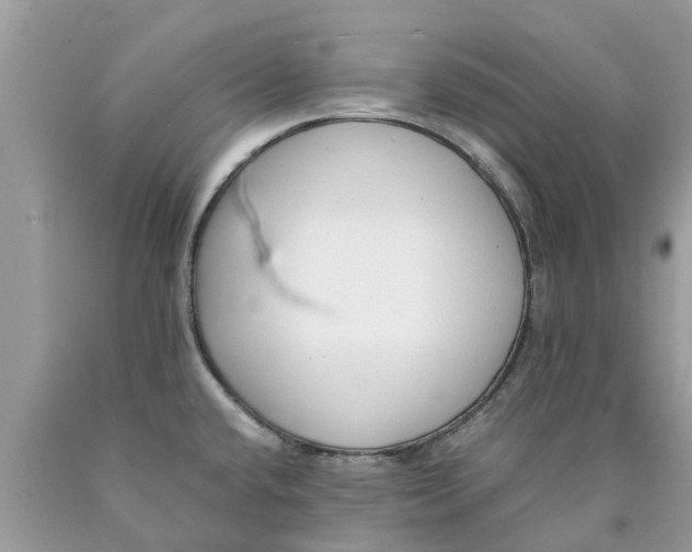 X0000089891432200707262221