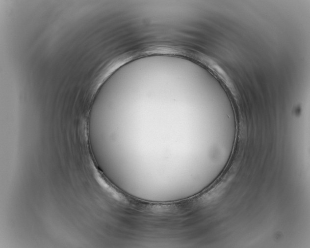 X0000089891433200707262221