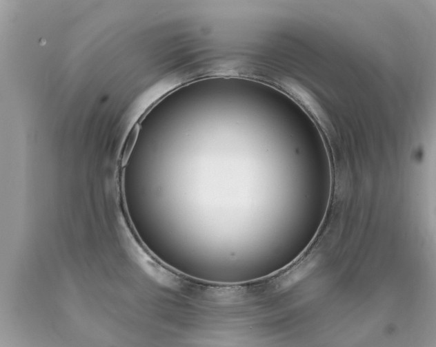 X0000089891434200707262221