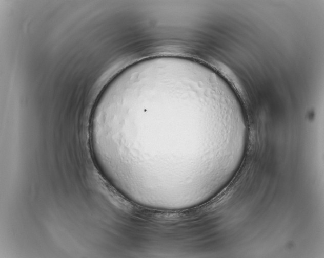 X0000089891435200707262221