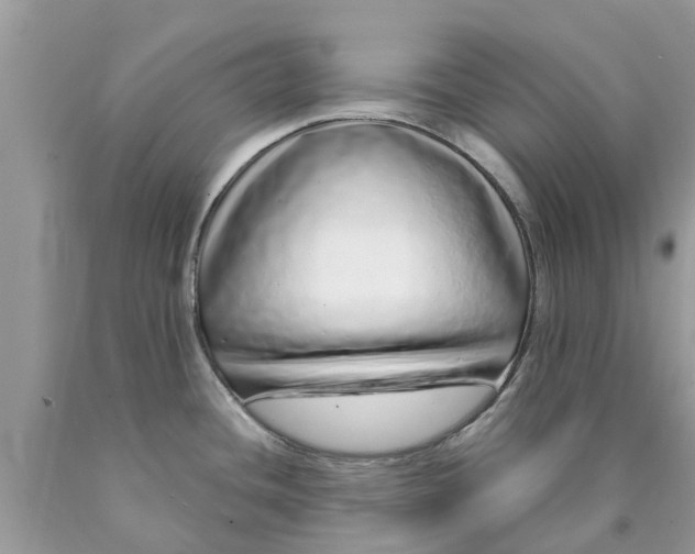 X0000089891436200707262221