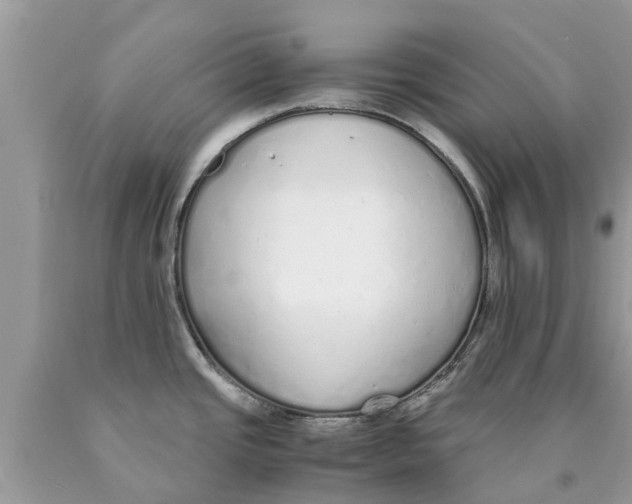 X0000089891437200707262221