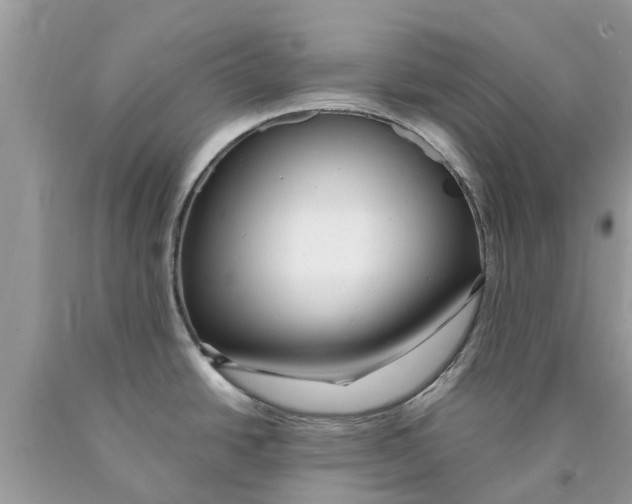 X0000089891438200707262221