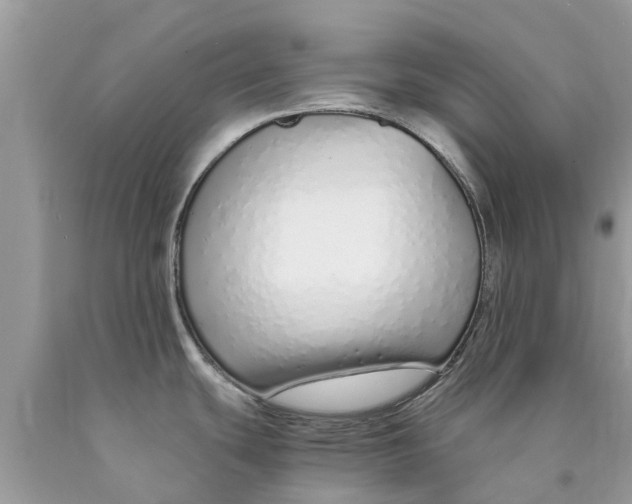 X0000089891439200707262221