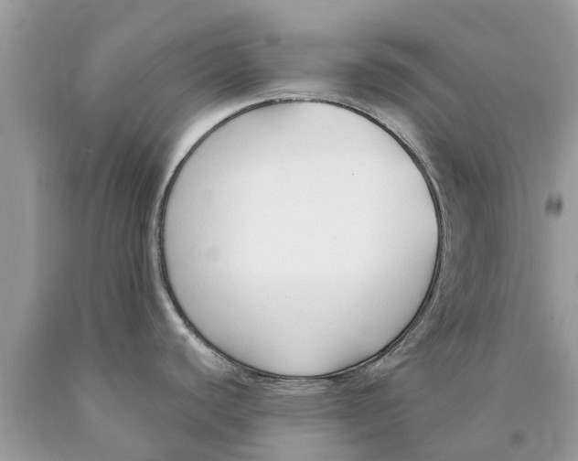 X0000089891440200707262221