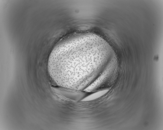 X0000089891441200707262220