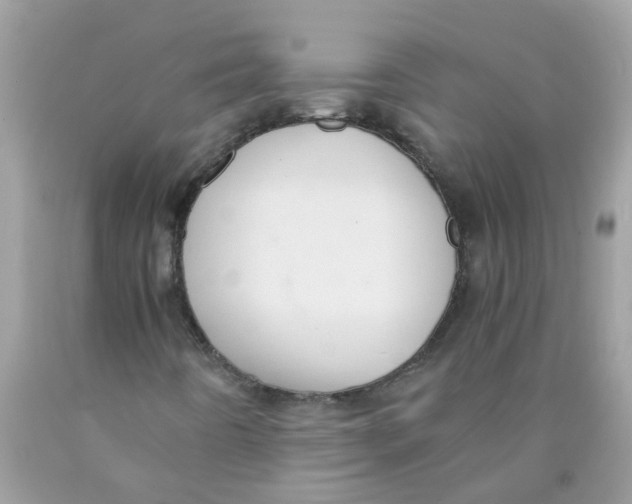 X0000089891442200707262220